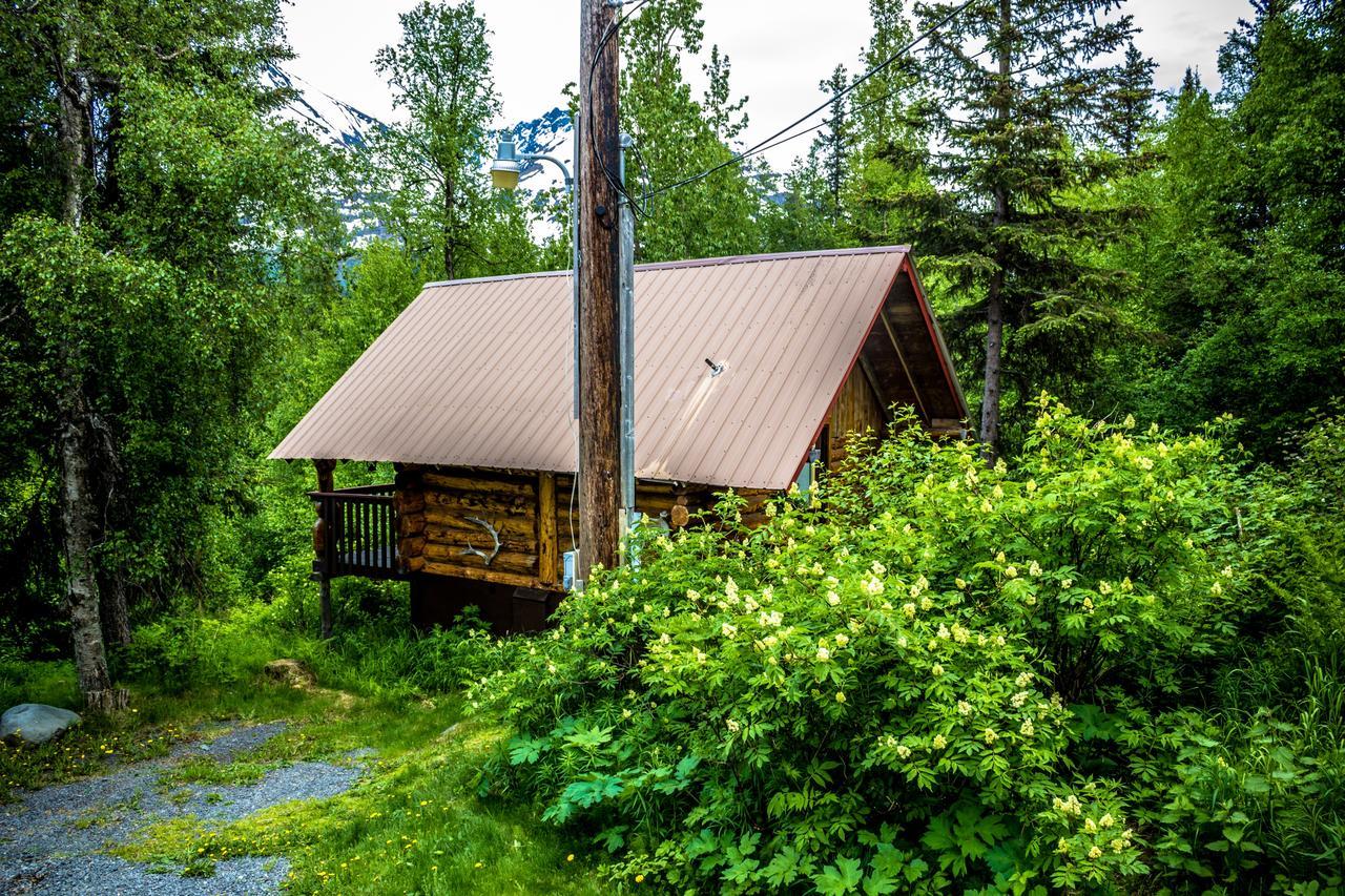 Midnight Sun Log Cabins Moose Pass Esterno foto