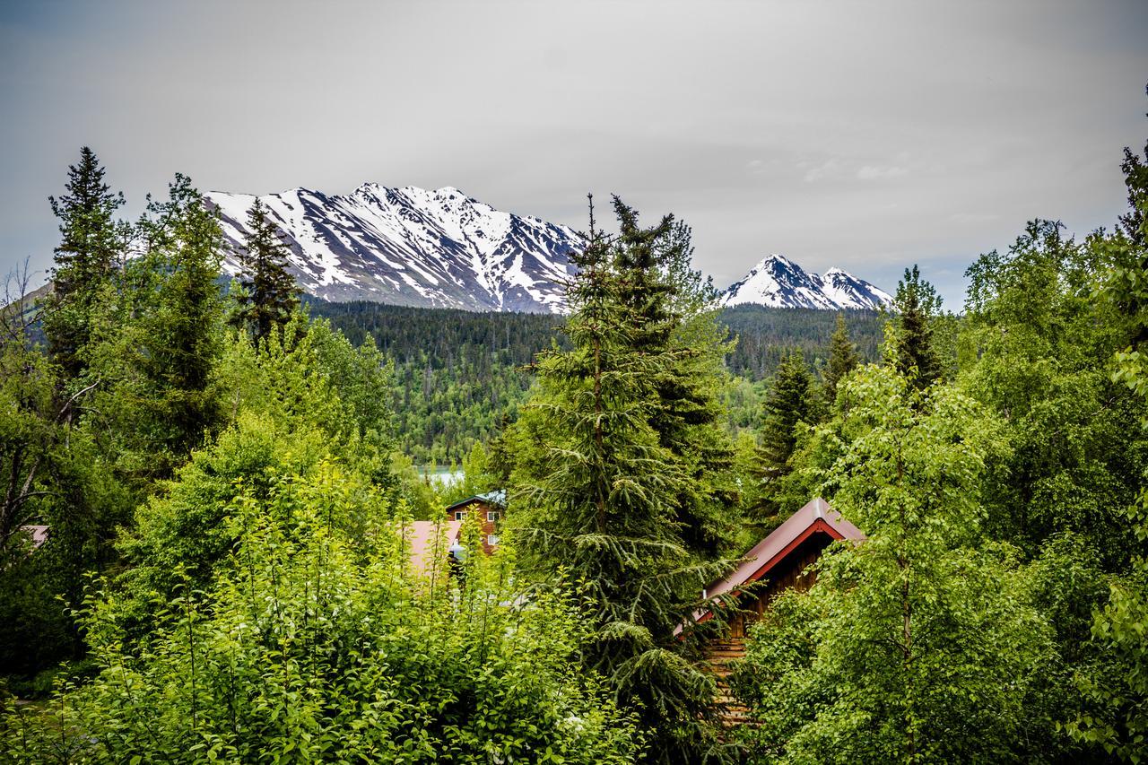Midnight Sun Log Cabins Moose Pass Esterno foto